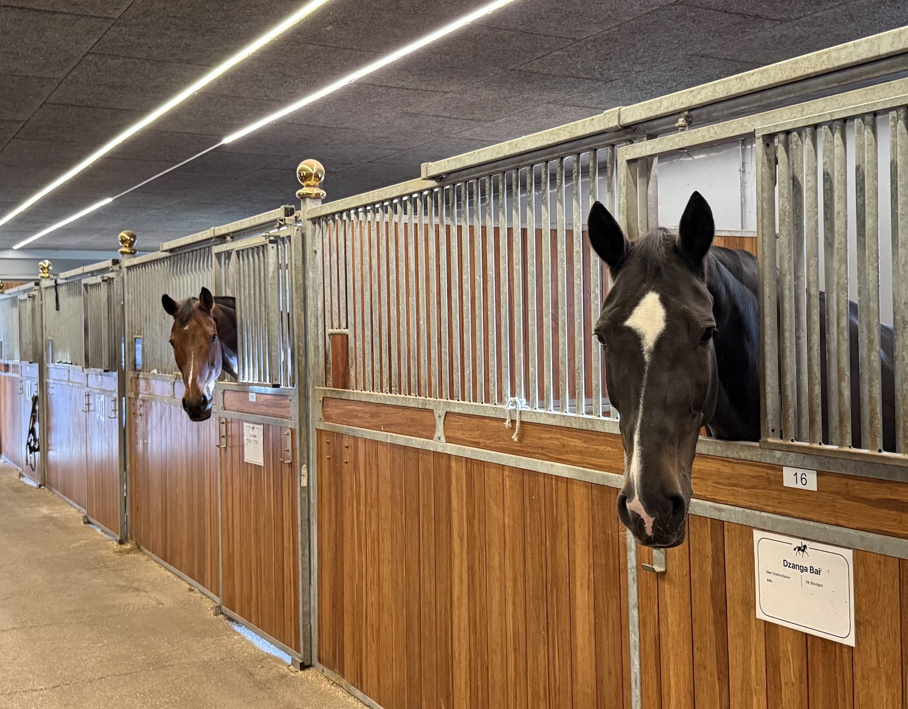 Utebane ved Tanum Ridesenter