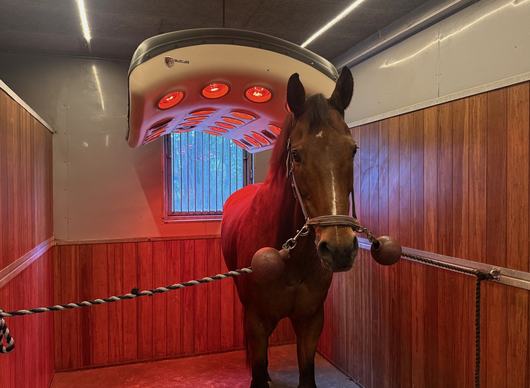 Solarium